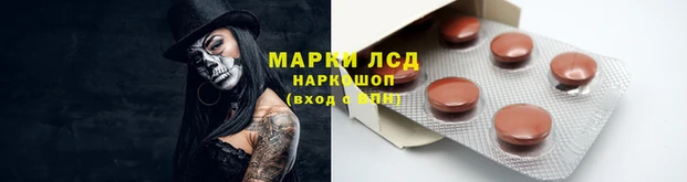 ГАЛЛЮЦИНОГЕННЫЕ ГРИБЫ Балабаново