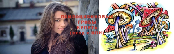 ГАЛЛЮЦИНОГЕННЫЕ ГРИБЫ Балахна