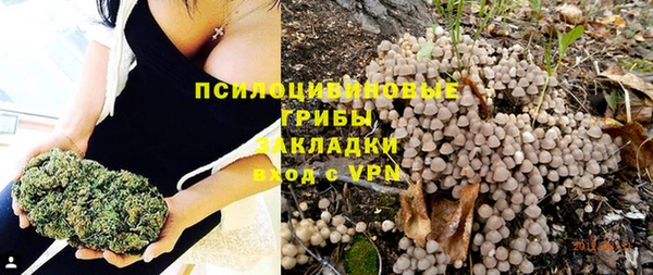 ГАЛЛЮЦИНОГЕННЫЕ ГРИБЫ Балахна